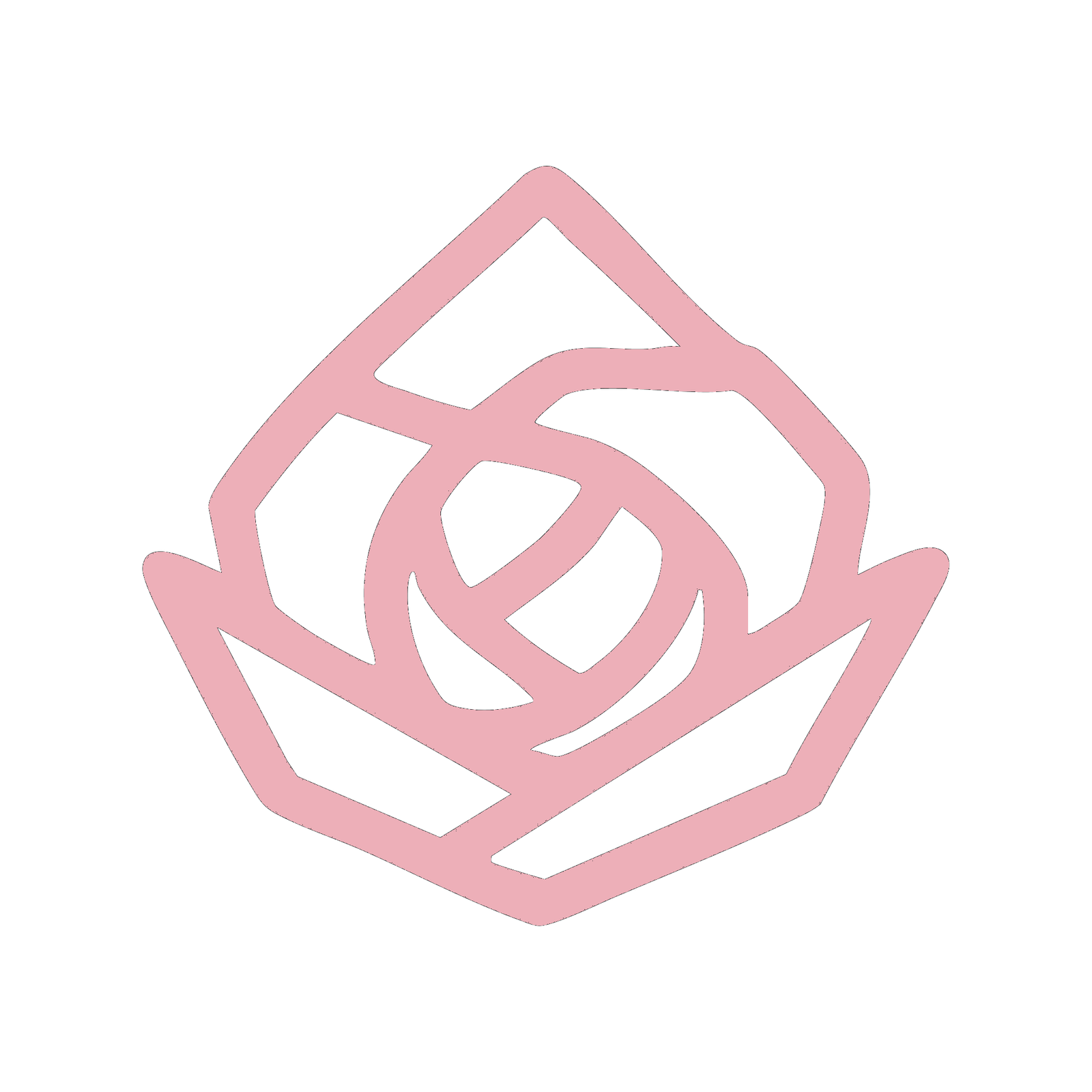 Women runners in desert sunrise wearing DesertRose gear